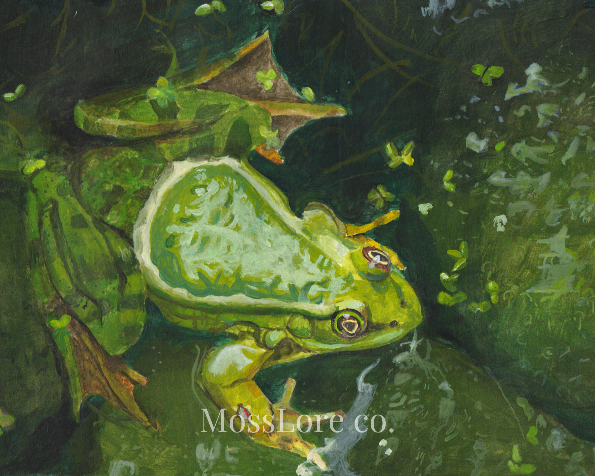 Frog 8&quot; x 10&quot; Acrylic on watercolor paper